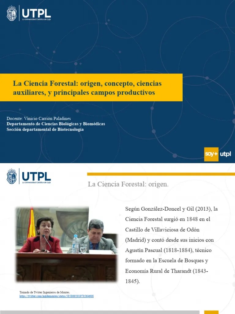 La Ciencia Forestal Semana 1 | Descargar Gratis PDF | Los Bosques | Silvicultura