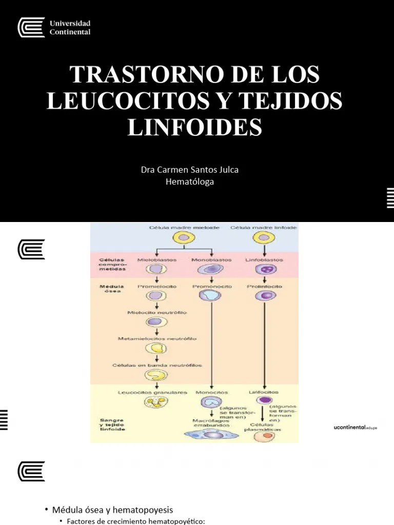 Trastorno De Leucocitos | PDF | Leucocito | Linfocitos