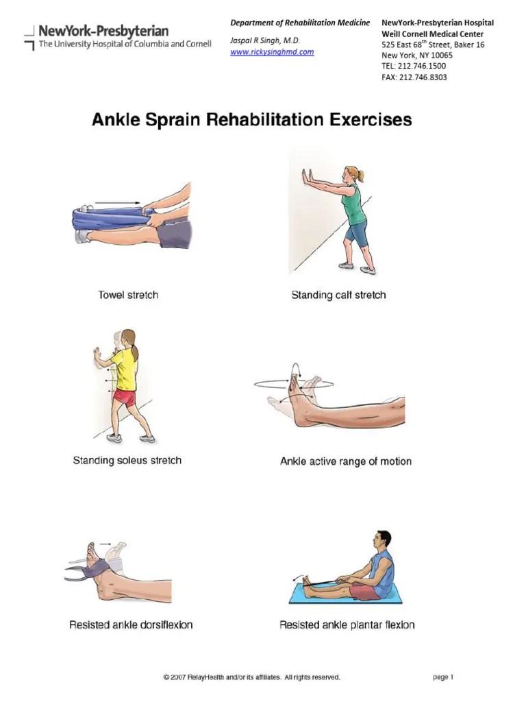 Ankle Sprain | PDF | Foot | Anatomical Terms Of Motion