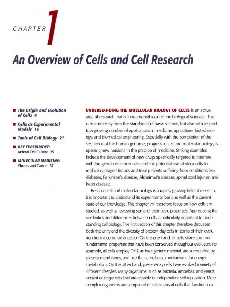 Overview Of Cell | PDF | Cell (Biology) | Eukaryotes
