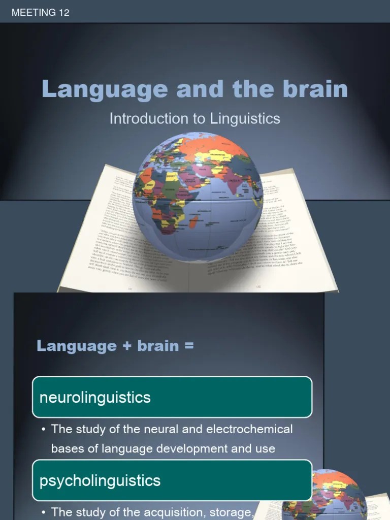 Meeting 12 Intro To Linguistics - Language And The Brain | PDF | Lateralization Of Brain ...