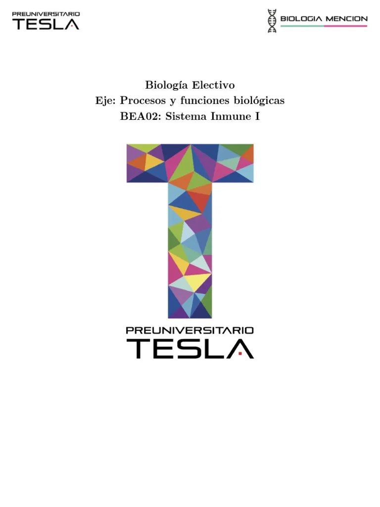 BEA02 Sistema Inmune I | PDF | Sistema Inmune | Linfocitos
