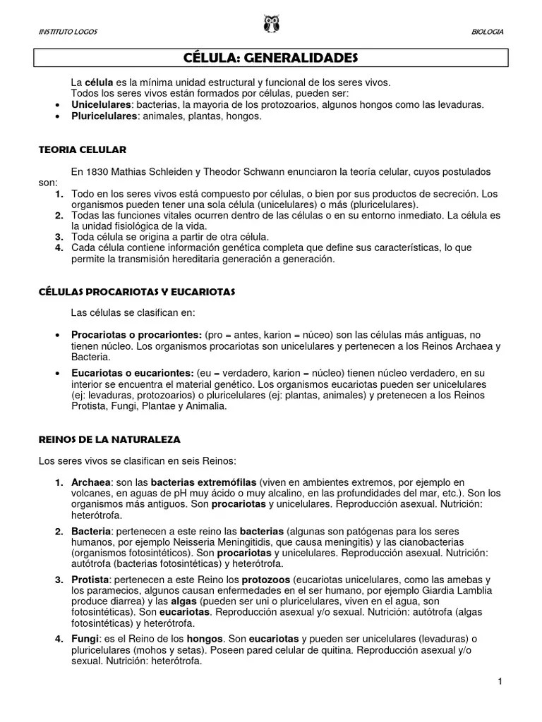 Célula Procariota Y Eucariota | PDF | Las Bacterias | Retículo Endoplásmico