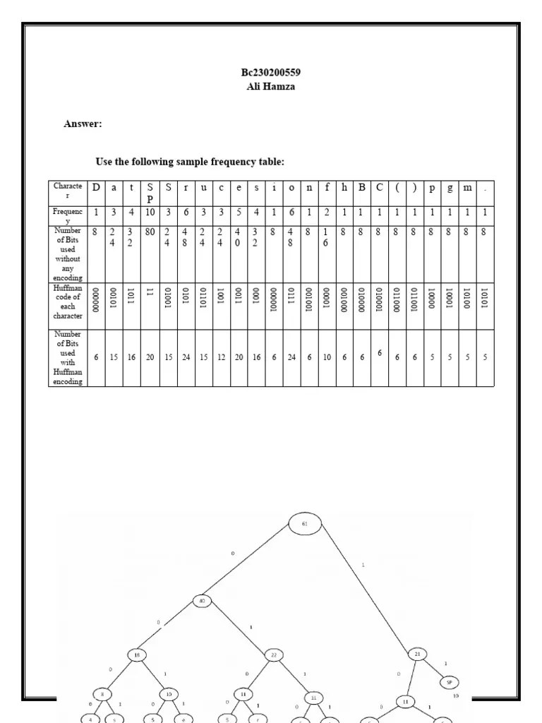 CS301 Assignment 2 Solution | PDF | Code | Applied Mathematics