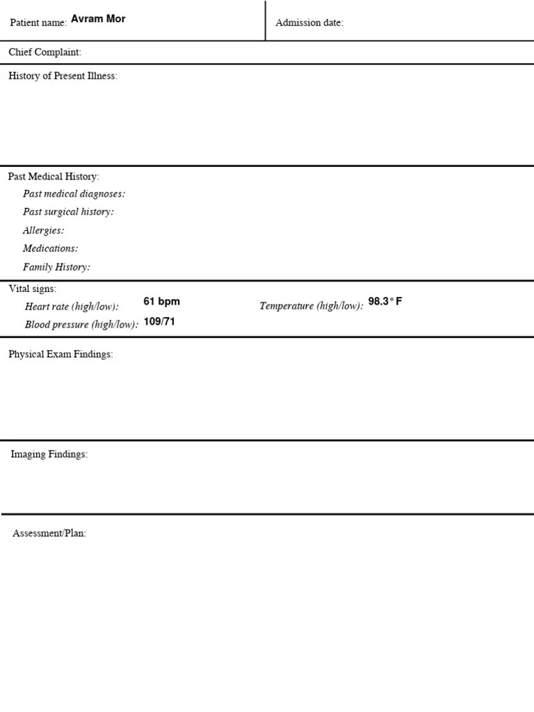 Patient Chart Template | PDF