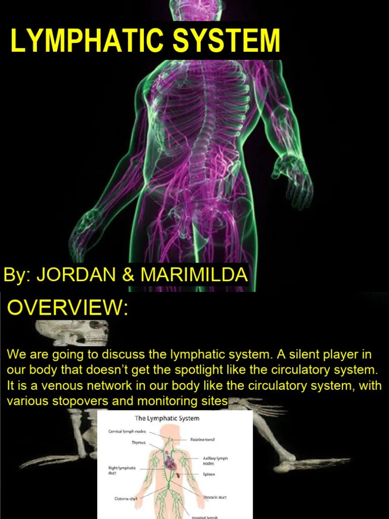Lymphatic System | PDF | Lymphatic System | Lymph