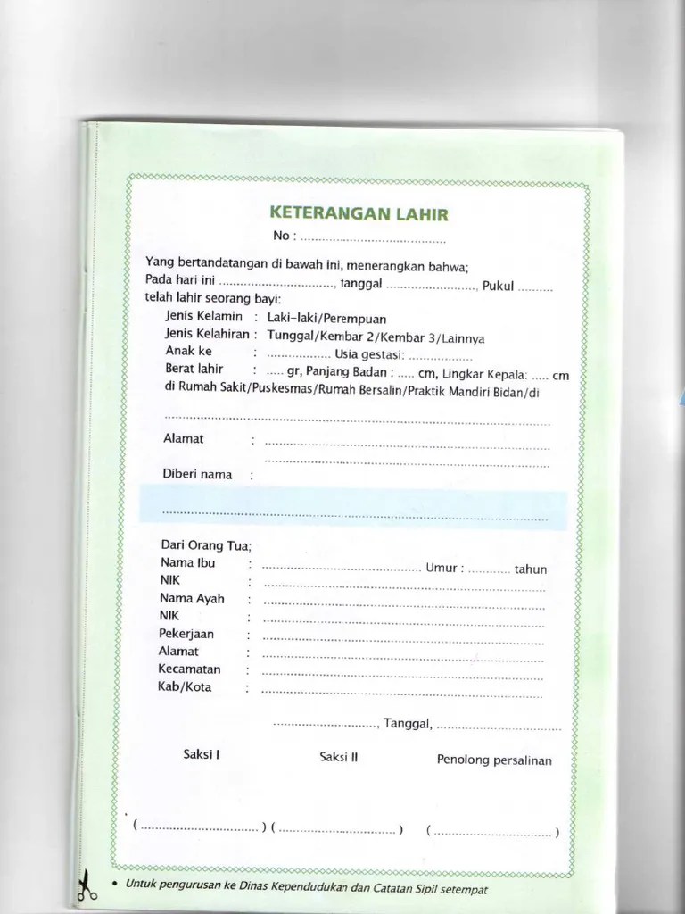 Surat Keterangan Lahir | PDF