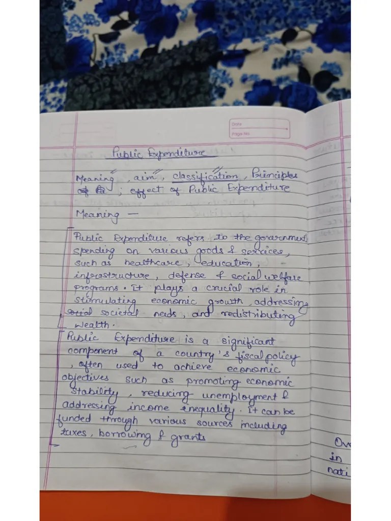 Chapter 4 Public Finance | PDF