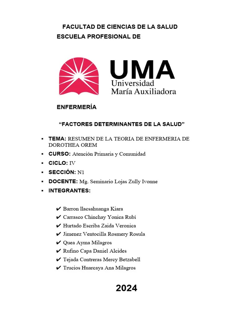 La Teoria De Dorothea Orem | PDF