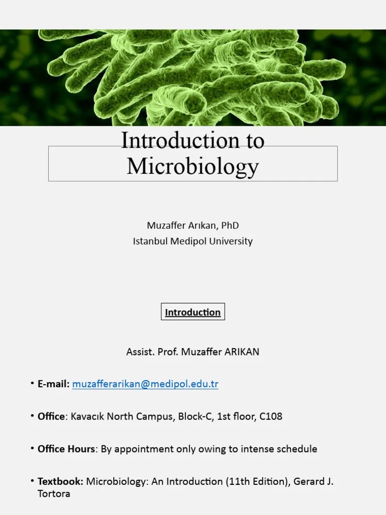 Microbiology 1 | PDF | Microorganism | Microbiology