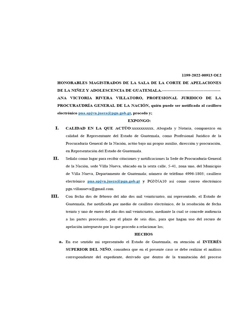 Memorial De Apelación | PDF | Apelación | Guatemala