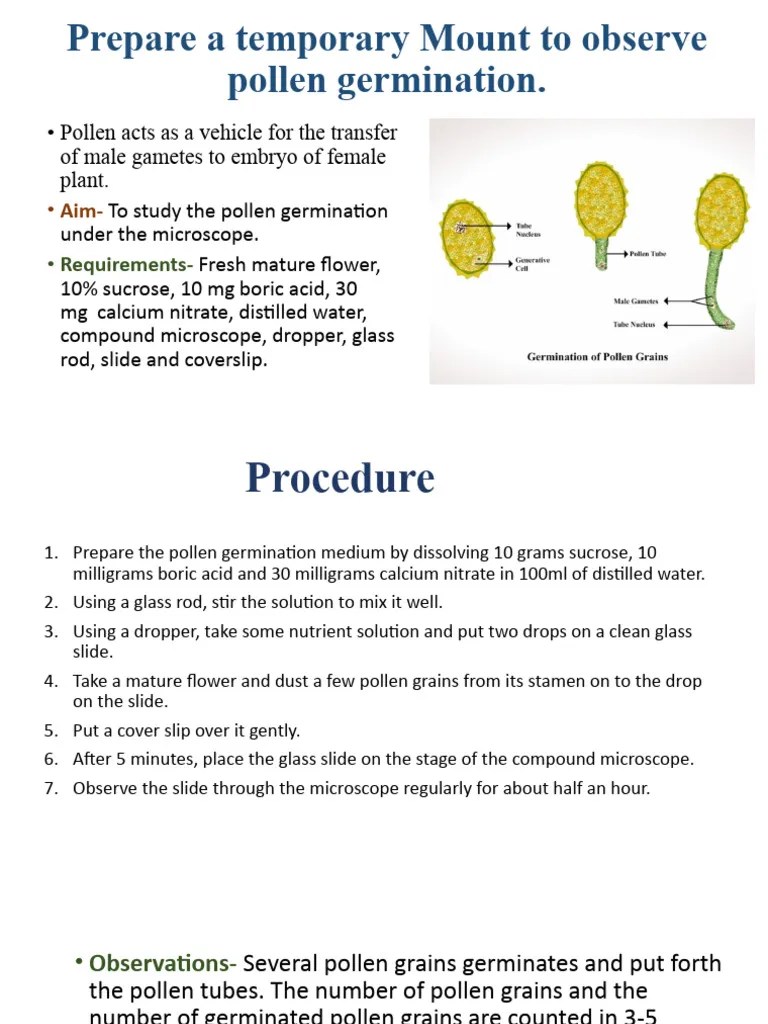 Study Of Pollen Germination In Quantised Form | PDF | Pollen | Germination