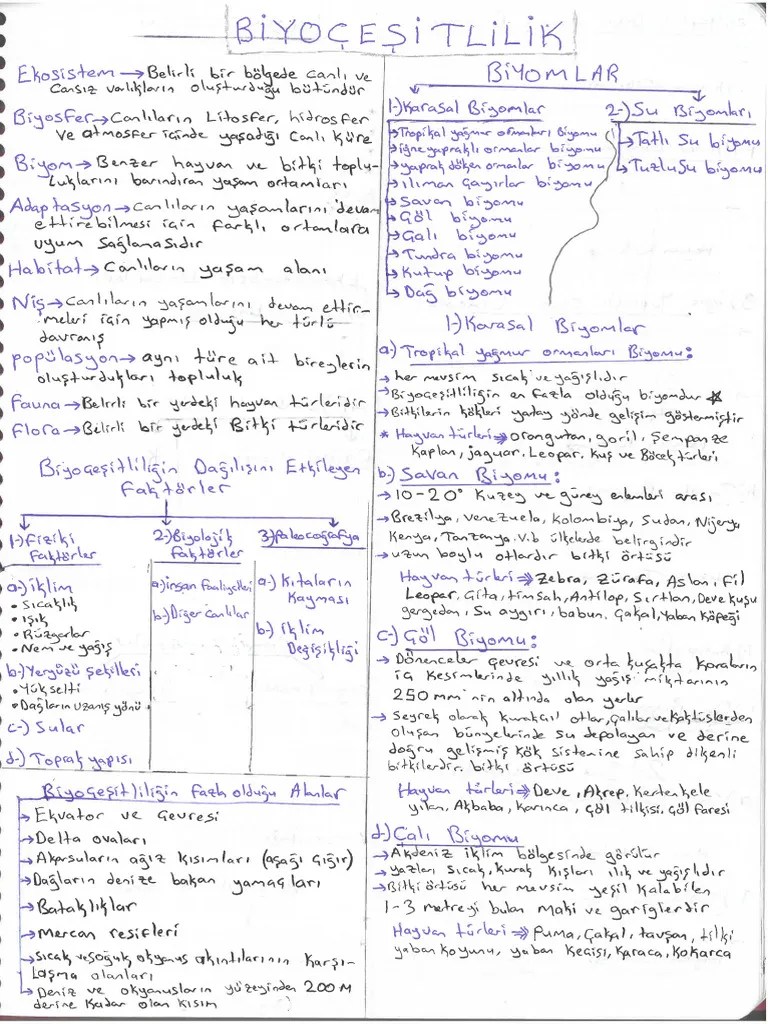 Ayt Genel Tekrar Konu Anlatimi | PDF