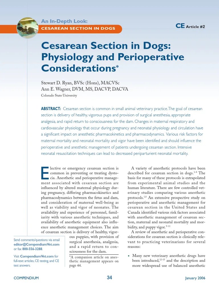 Cesarean Section Dogs | PDF | Anesthesia | Fetus