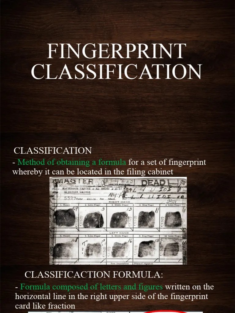 Fingerprint Classification | PDF | Fingerprint | Hand