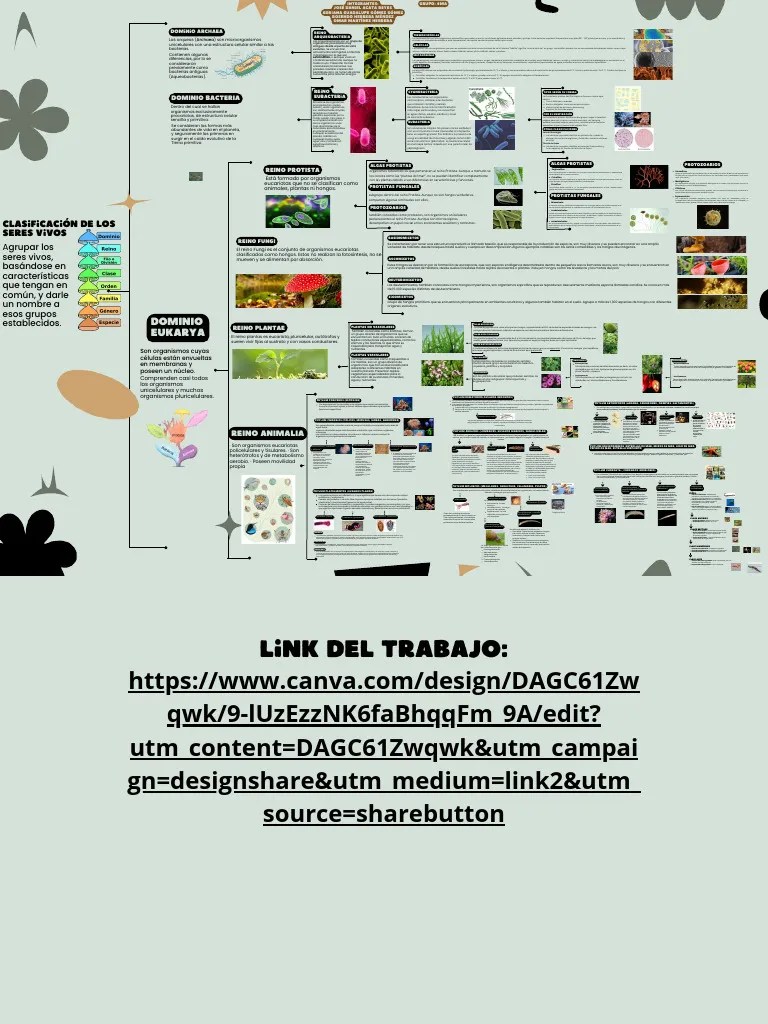 Clasificación De Los Seres Vivos-2 | PDF | Hongo | Archaea