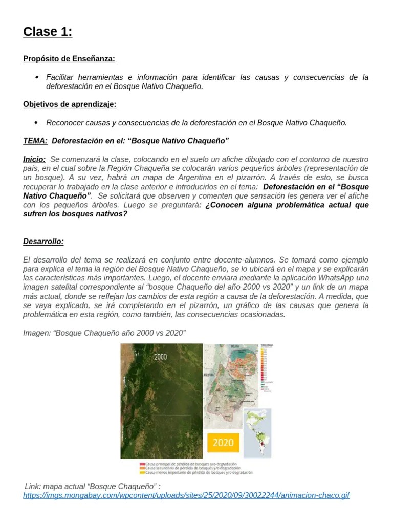Deforestacion De Bosques Nativos | PDF | Deforestación