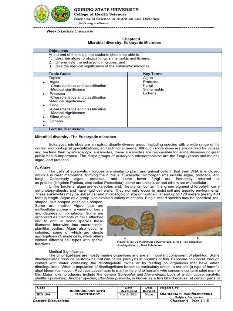Lecture Microbial Diversity The Eukaryotic Microbes Chapter 4.Docx (1 ...