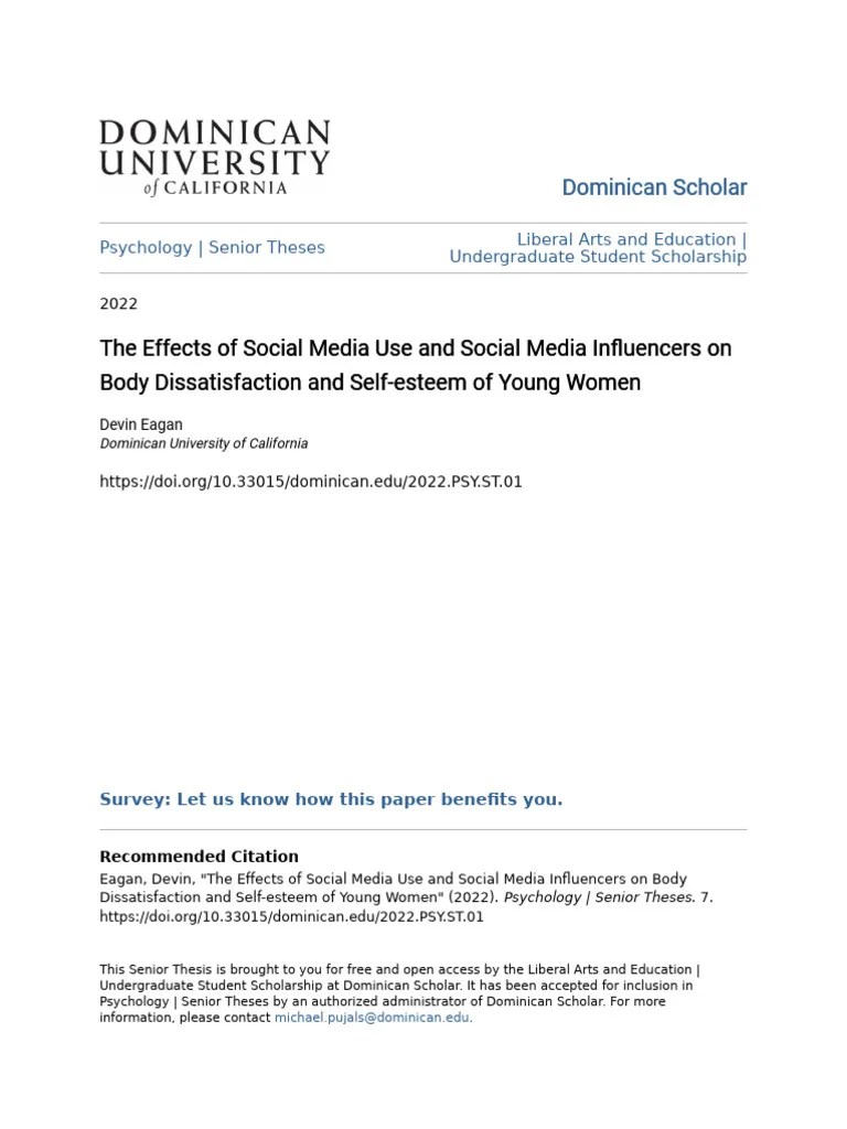The Effects Of Social Media Use And Social Media Influencers On B | PDF ...