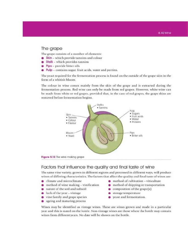 Wines Pdf