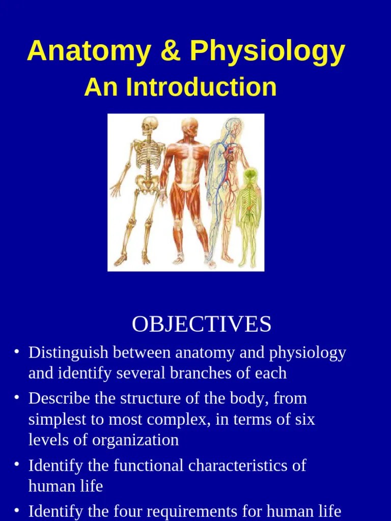 Anatomy Physiology Intro. Powerpoint Chapter 1 | PDF