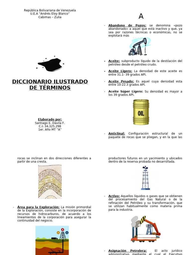 Diccionario Ilustrado | PDF