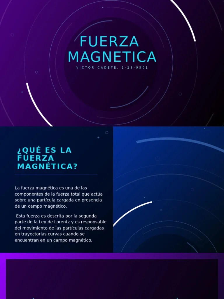 Fuerza Magnetica | PDF