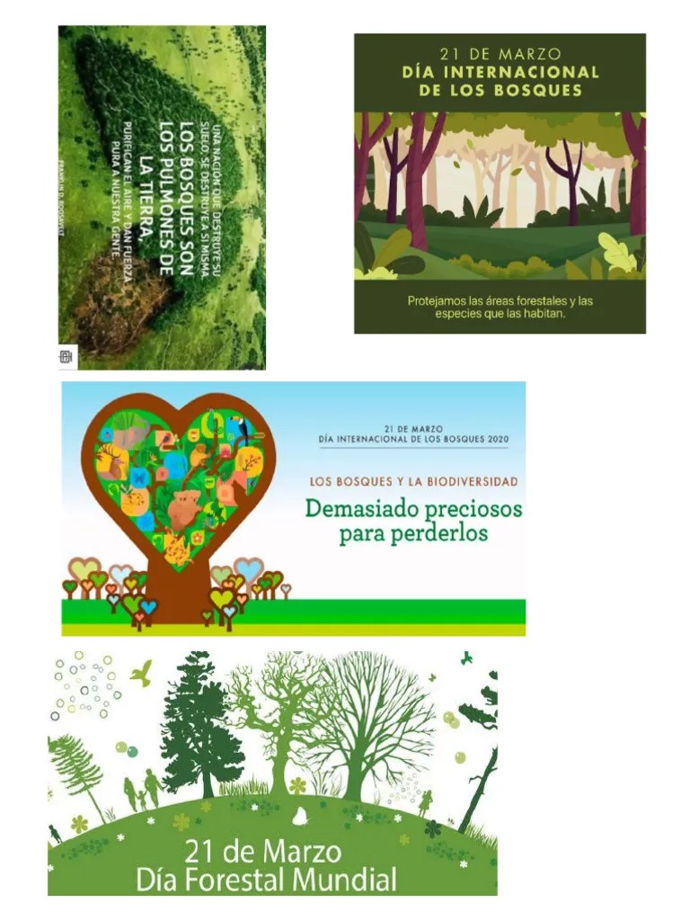 Bosque | PDF