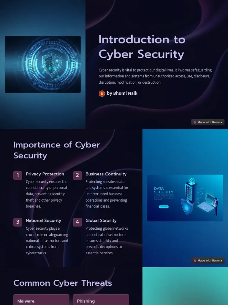 Introduction To Cyber Security | PDF