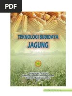 Jumlah dan volume usaha kecil di bidang pertanian di negara mereka. Jurnal Jagung Febri Irawan 05091002006 Teknik Pertanian UNSRI