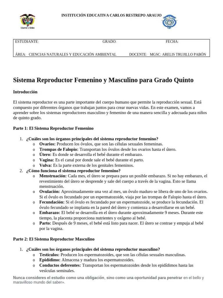 Sistema Reproductor Y Femenino | PDF