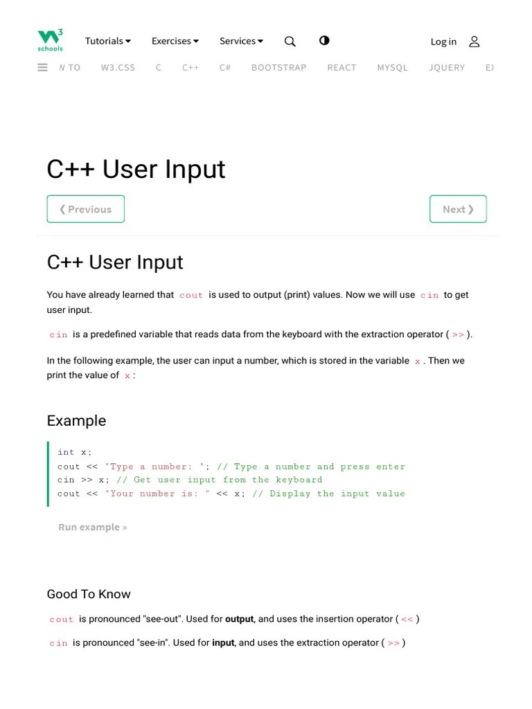 C++ User Input | PDF