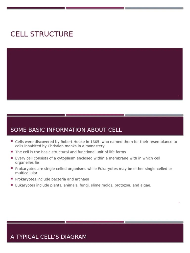 Lecture 01 Cell & Organelles | PDF