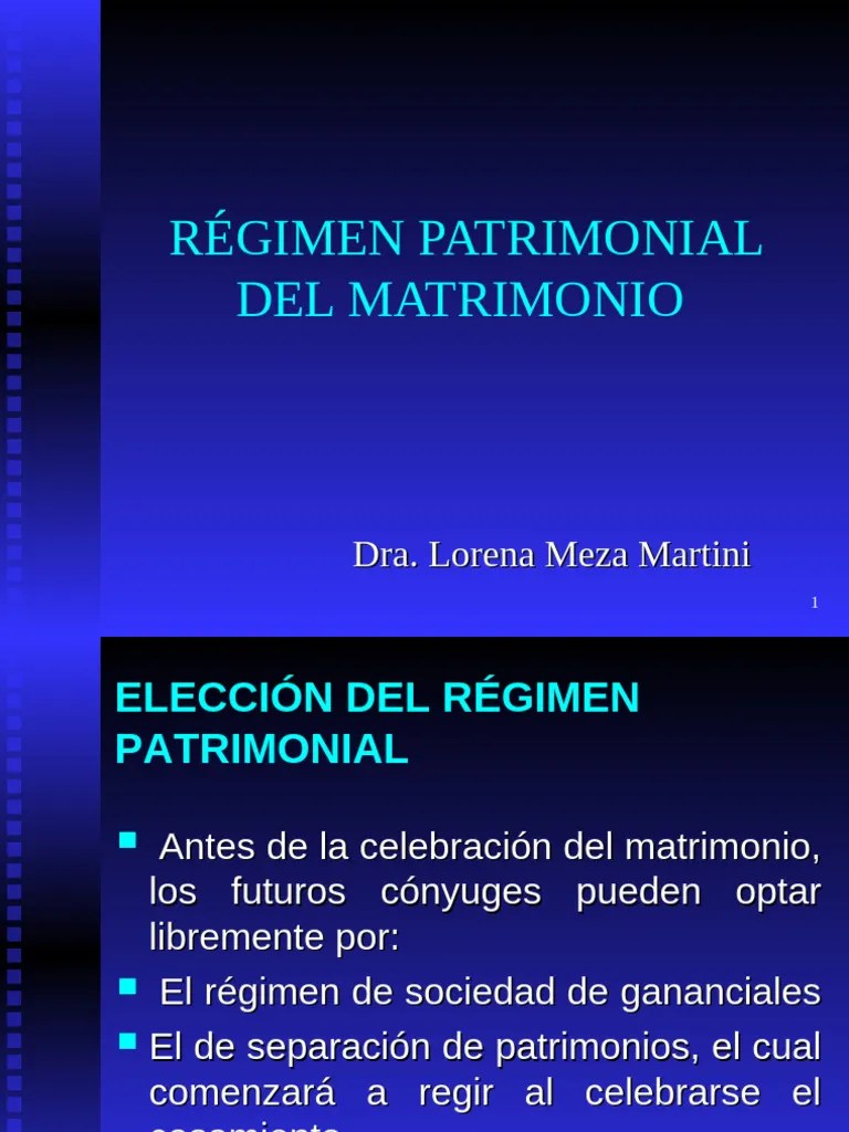 Régimen Patrimonial Del Matrimonio - Lorena Meza | PDF