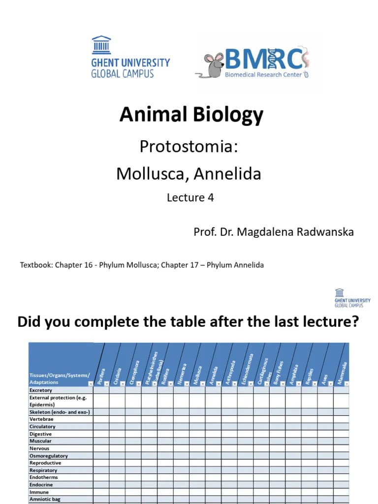 Lecture4 2024 Final | PDF