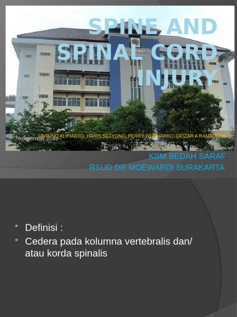 14 - Medulla Spinalis Dan Spine | PDF