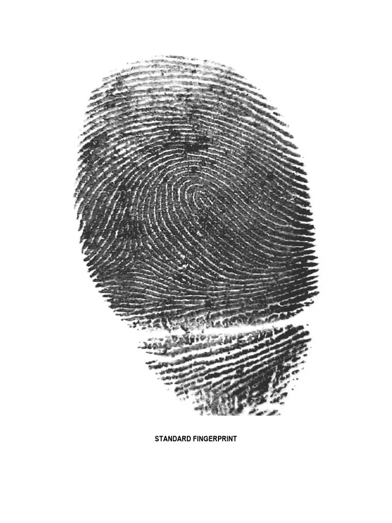 FINGERPRINT | PDF