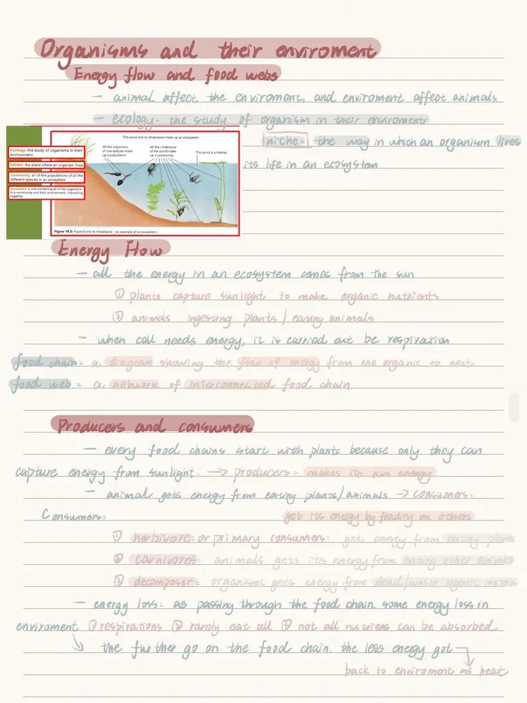 Biology Igcse Note | PDF