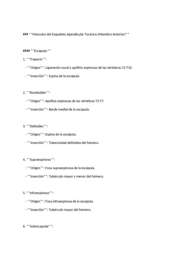 Musculos Origen E Inserción | PDF