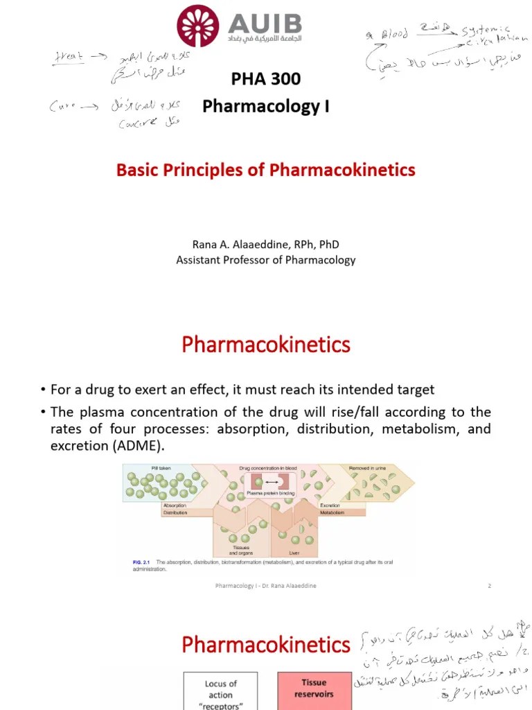 Basic Principles Of Pharmacokinetics | PDF