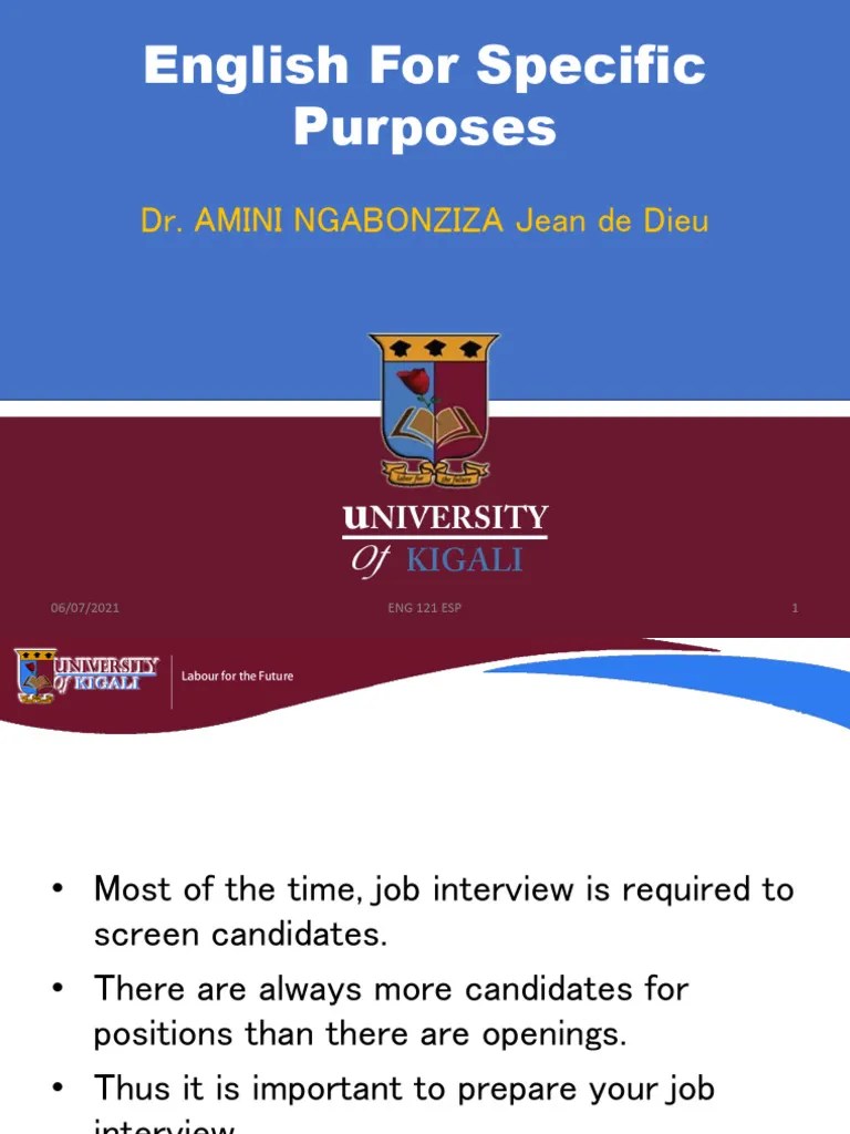 Job Interview Skills | PDF