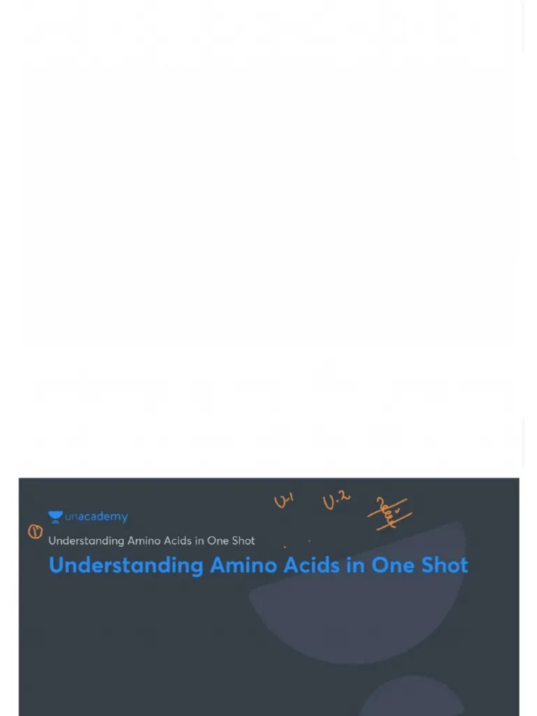 Understanding Amino Acids | PDF