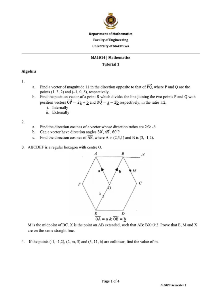 Maths Tutorial 1 | PDF