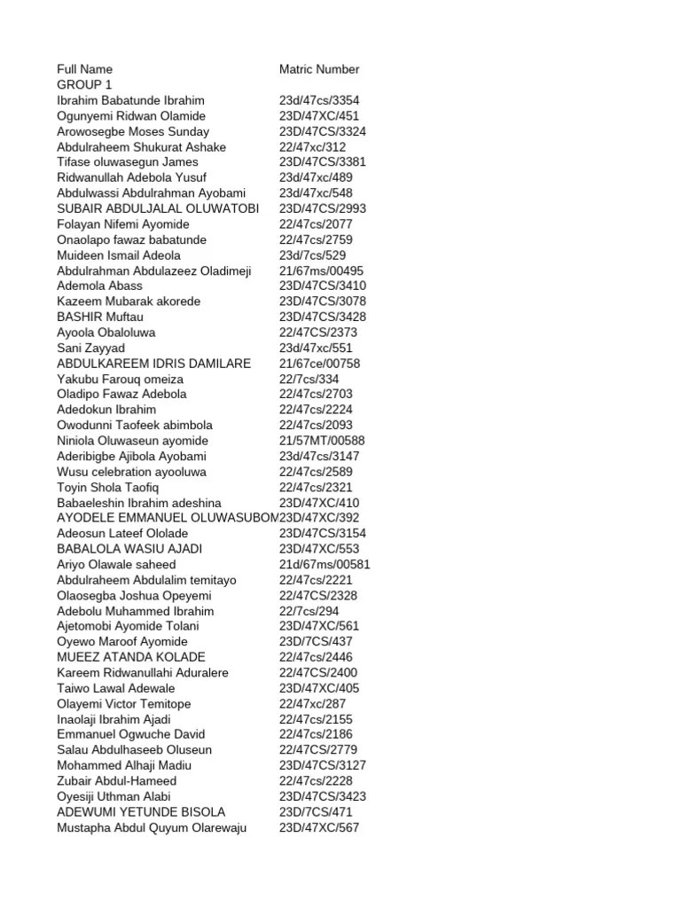 CSC 204 Final Grouping Project | PDF