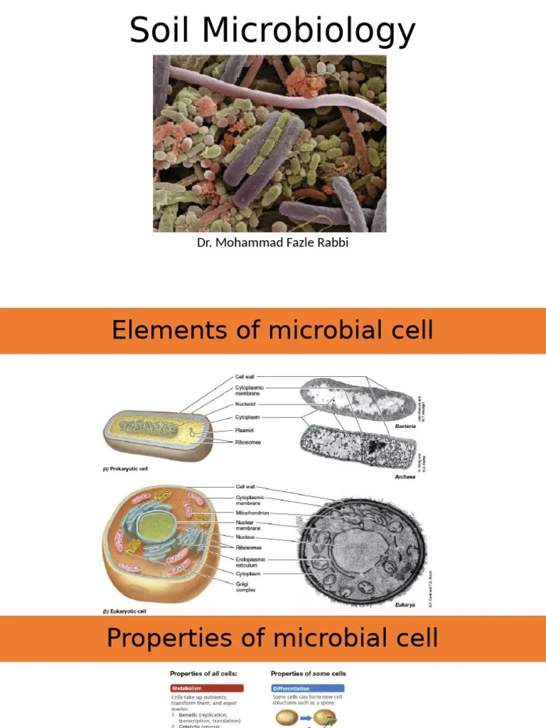 Microbiology Cell Structure | PDF
