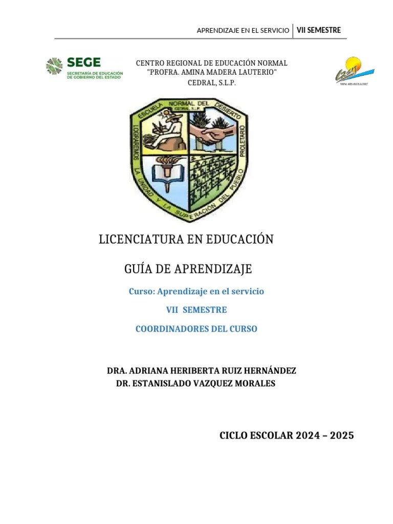 GUÍA DE APRENDIZAJE VII | PDF