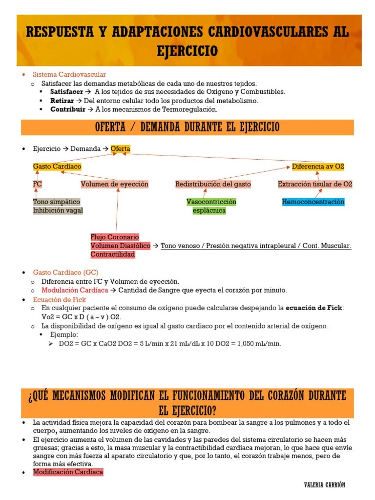 RESPUESTA Y ADAPTACIONES CARDIOVASCULARES AL EJERCICIO | PDF