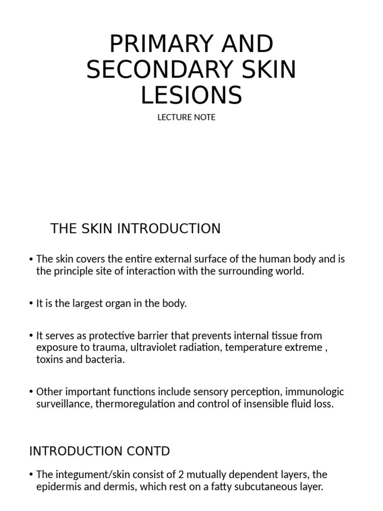 Primary And Secondary Skin Lesions [Autosaved]-1 | PDF
