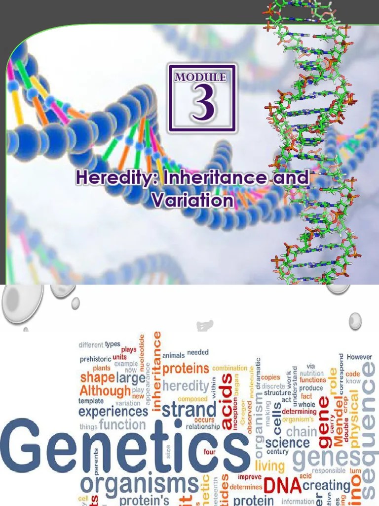 Module-3-Heredity-Inheritance-and-Variation | PDF