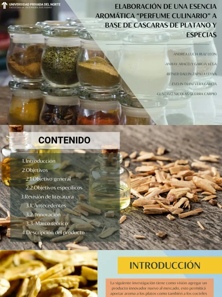 Universidad Privada Del Norte | PDF